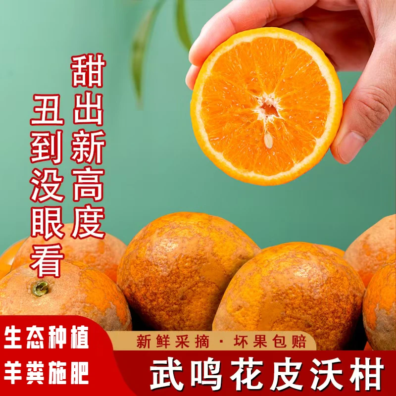 广西武鸣花皮沃柑5/9斤现摘当季水果香甜饱满皮薄肉厚多汁香甜孕