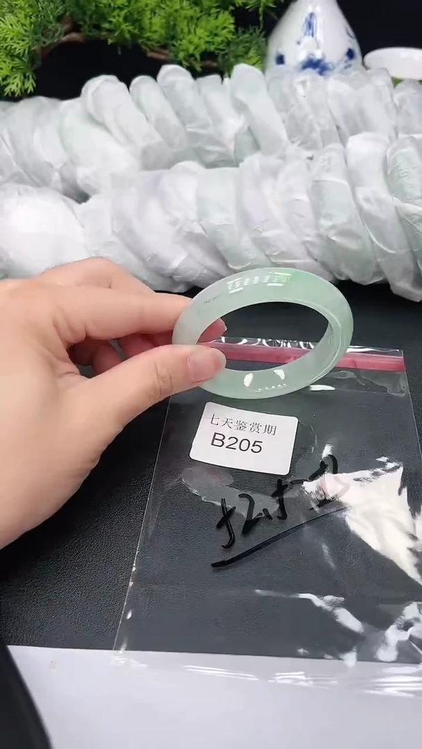 未镶嵌手镯翡翠205