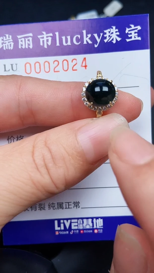 翡翠银S925镶嵌颈饰2024