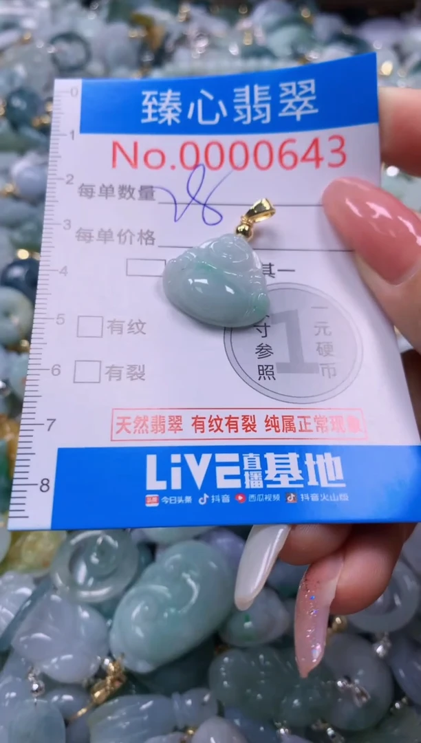 翡翠未镶嵌颈饰643