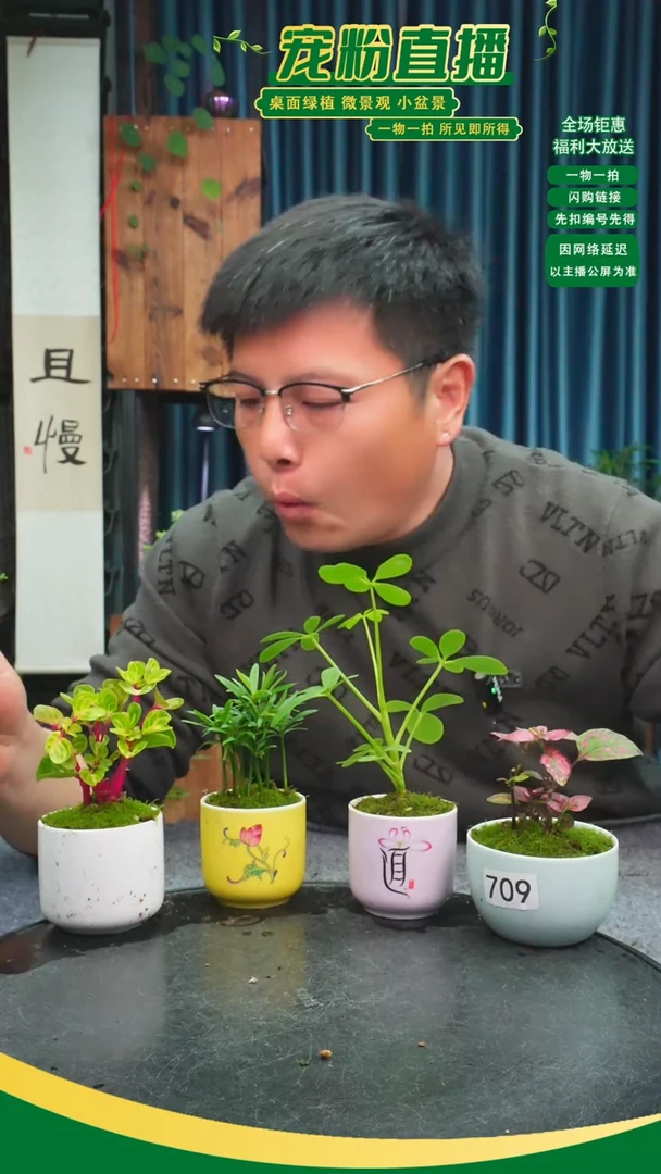 无花朵家*苔藓微景观709号