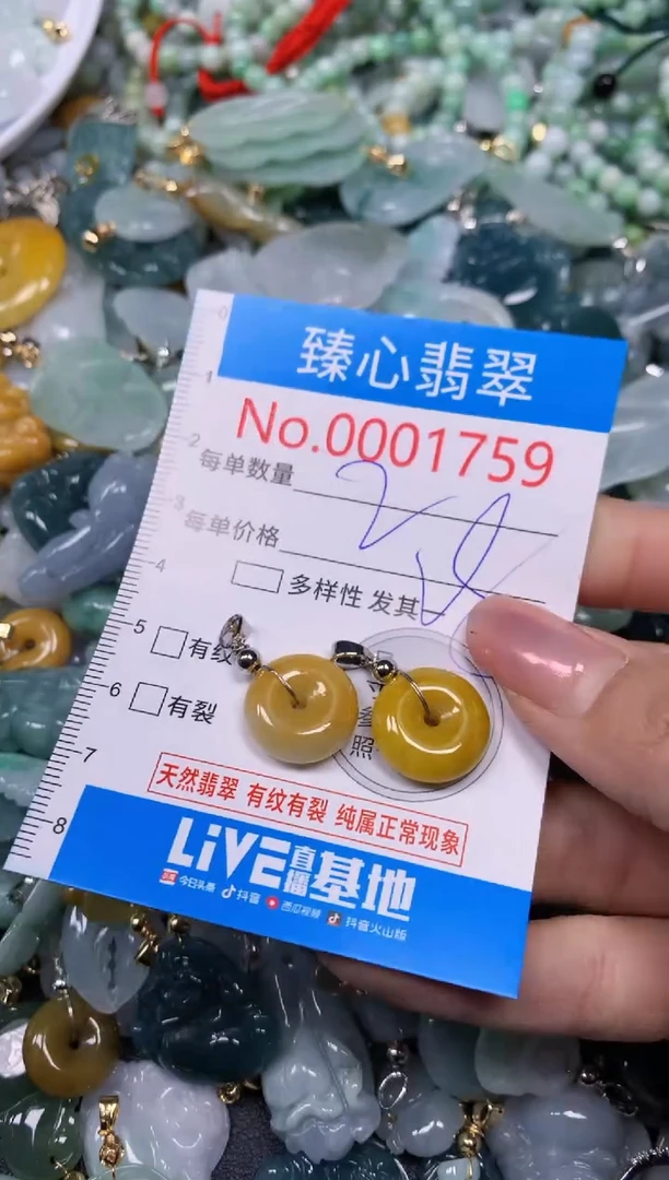 【闪购商品】翡翠颈饰未镶嵌含绳0001759