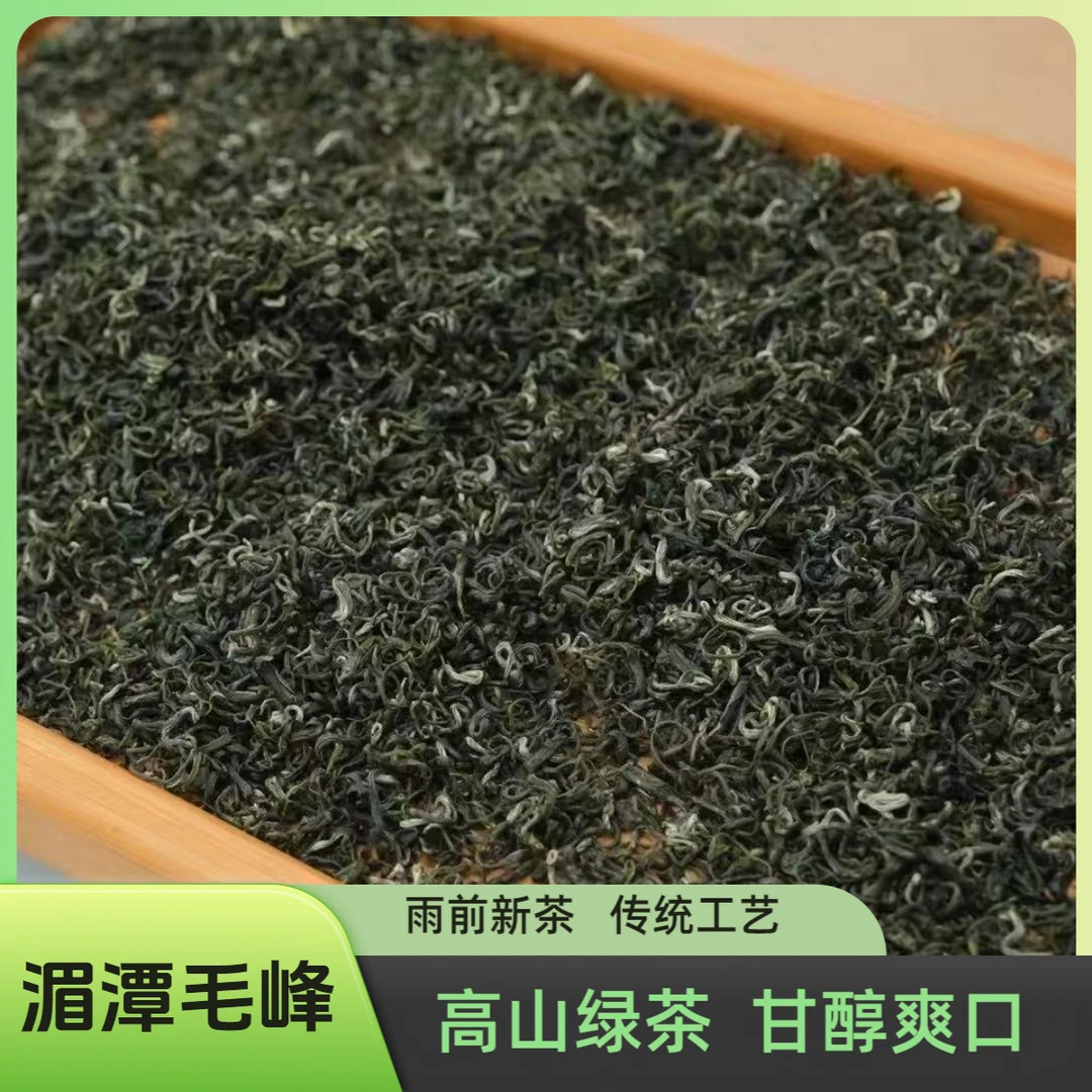 [湄潭毛峰]2025雨前新茶贵州高山云雾嫩芽绿茶浓香型板栗香茶叶