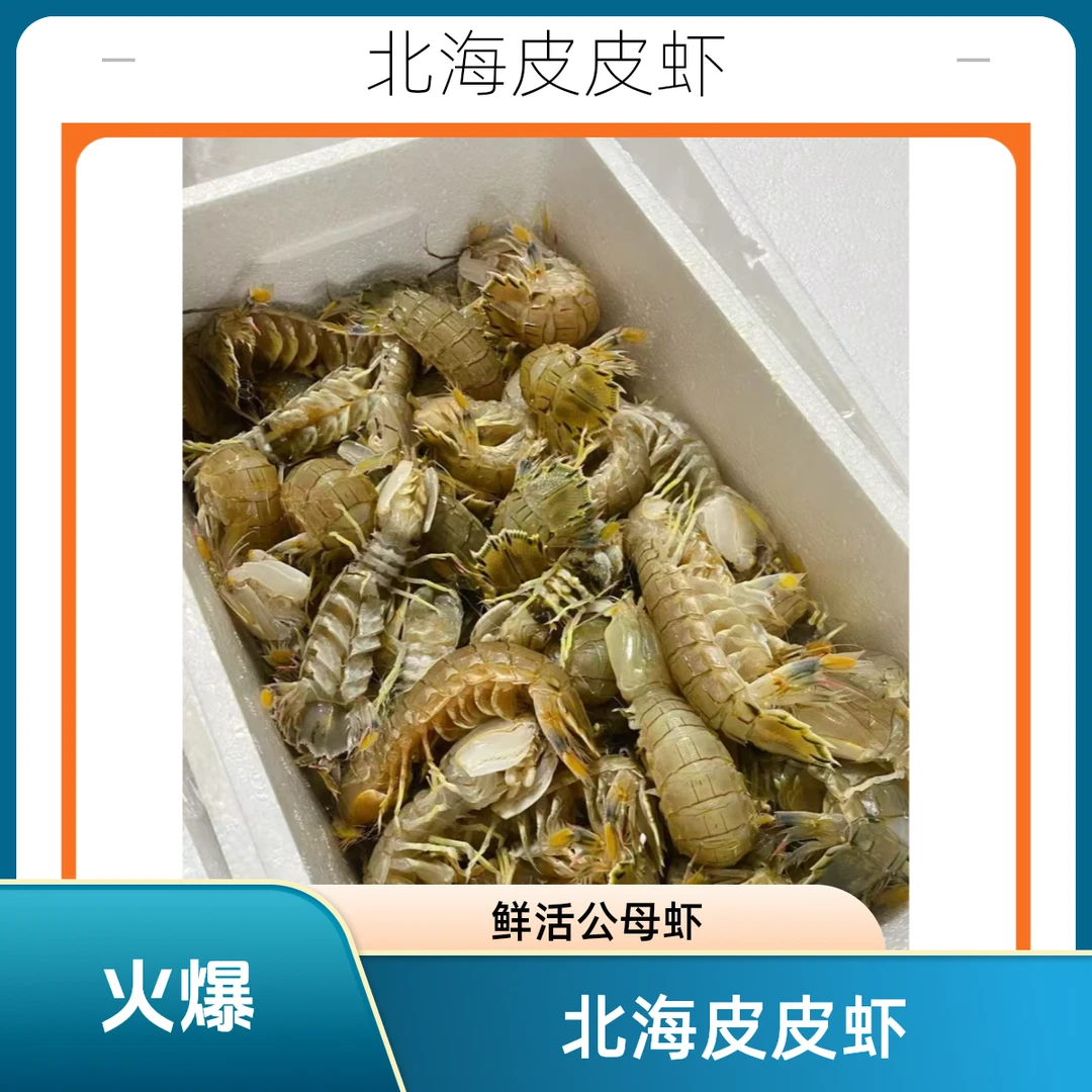 北海皮皮虾虾虎鲜活蒸熟公虾无膏母虾有膏500g