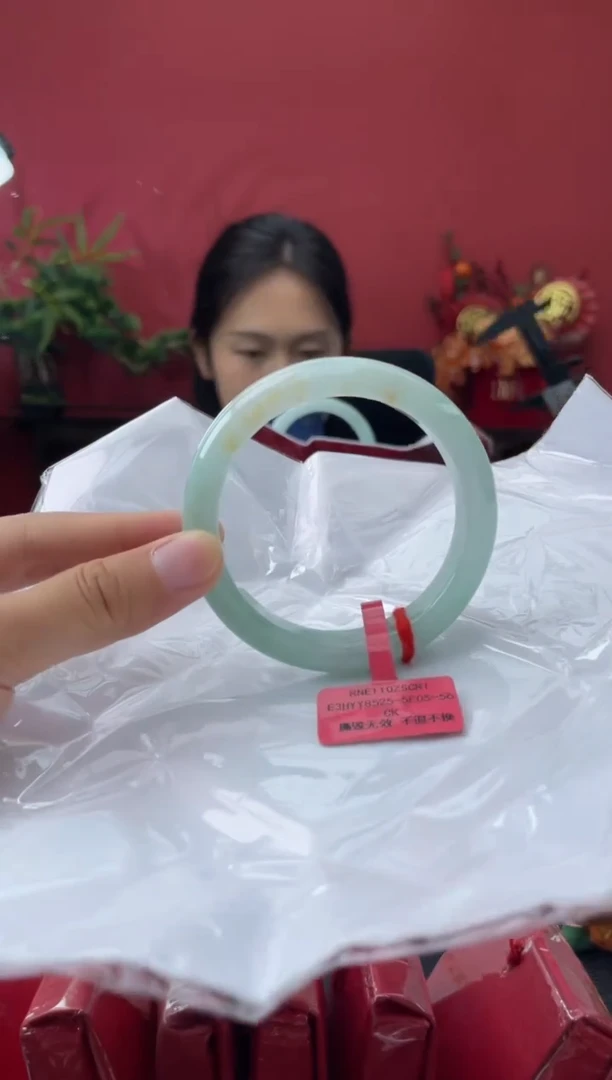 未镶嵌手镯翡翠2