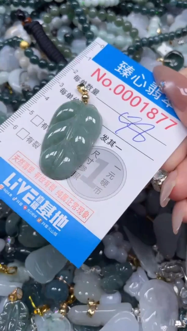 颈饰未镶嵌翡翠1877