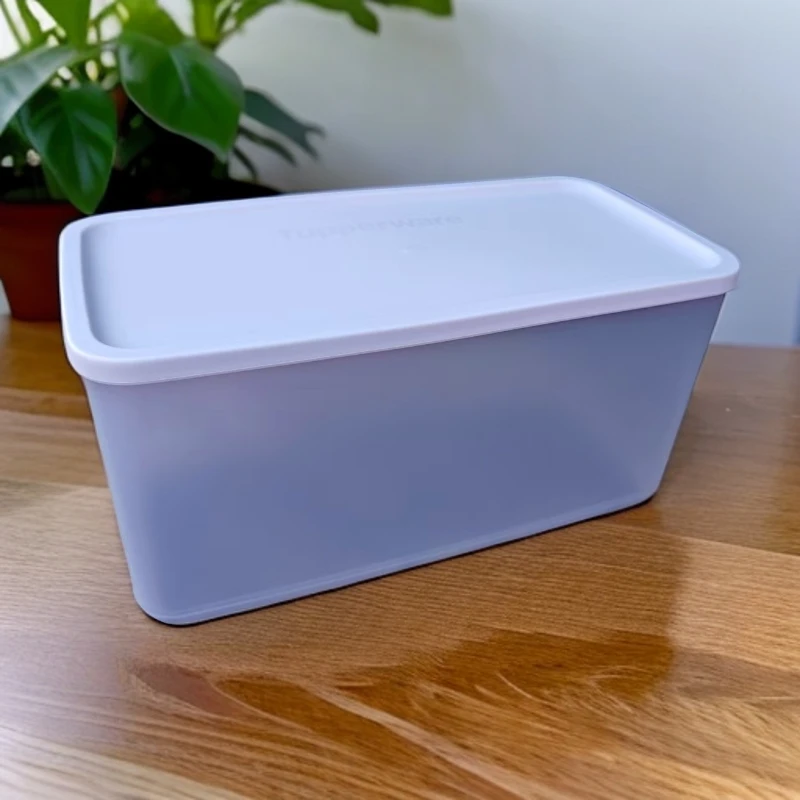特百惠纤长层叠深入保鲜盒冰箱冷藏密封储藏盒长方盒