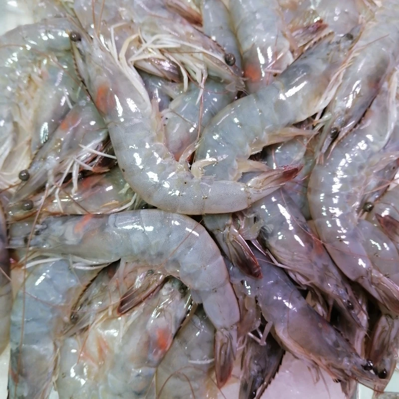 5斤海白虾每斤12只左右海味大虾味浓，带红油！