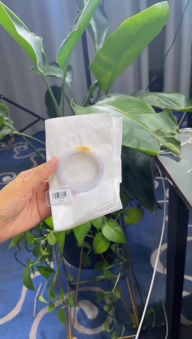 未镶嵌手镯翡翠9717****