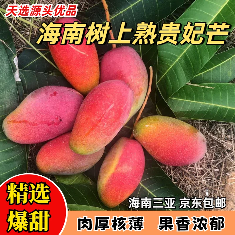 【店长推荐】海南贵妃芒果当季新鲜水果自然熟香甜包邮