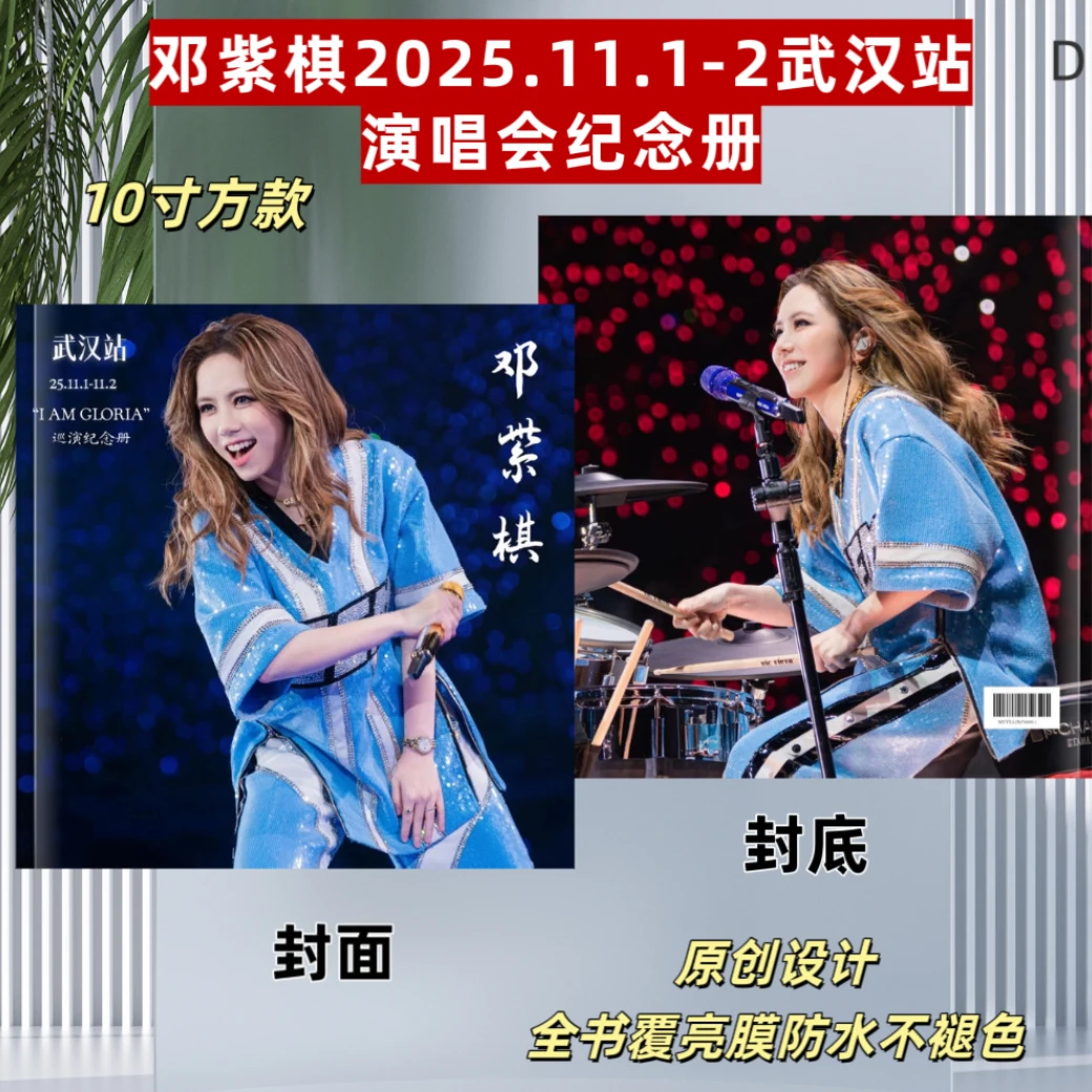 邓紫棋2025.11.1-2武汉站演唱会纪念册明星周边应援礼品