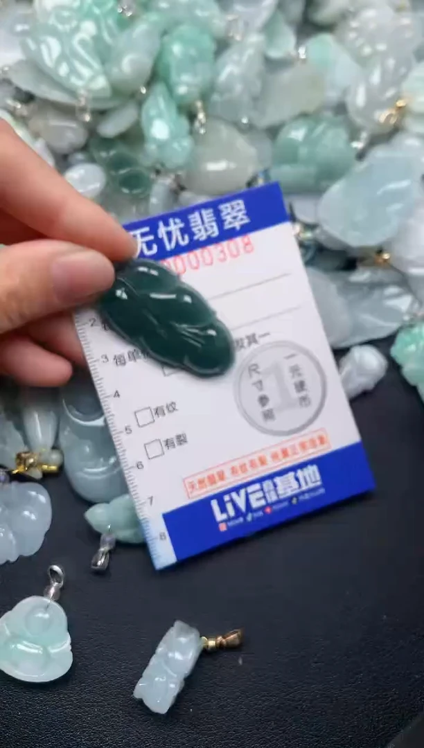 颈饰未镶嵌翡翠308