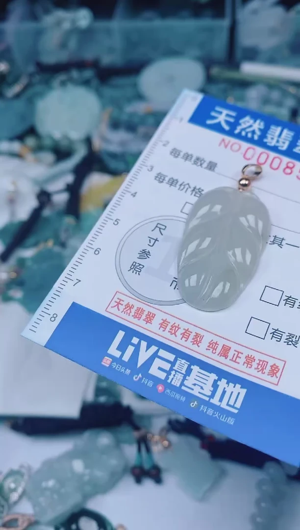 颈饰未镶嵌翡翠00008595