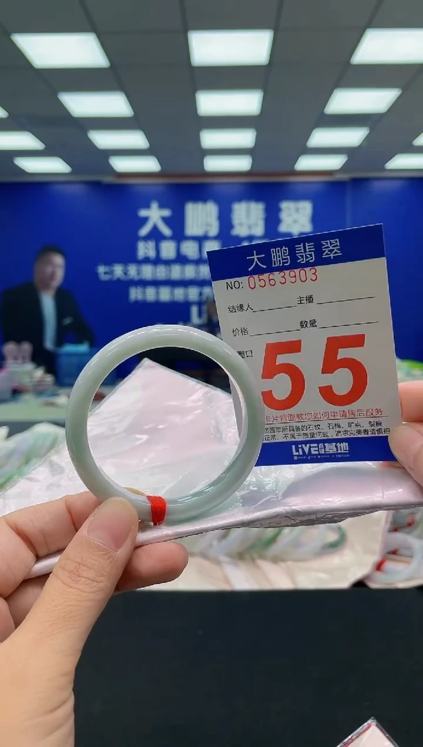 未镶嵌手镯翡翠AAAAAAAAA