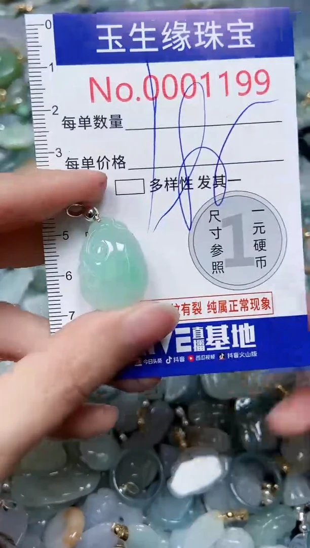 【闪购商品】翡翠颈饰未镶嵌闪购00001199