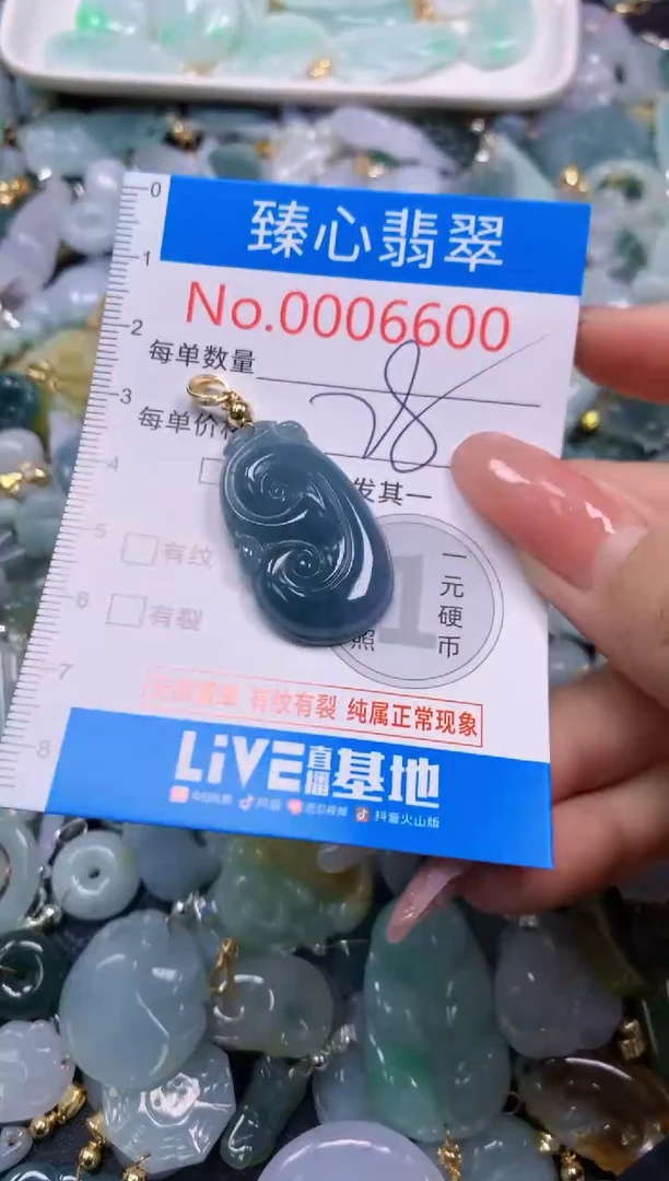 翡翠未镶嵌颈饰6600