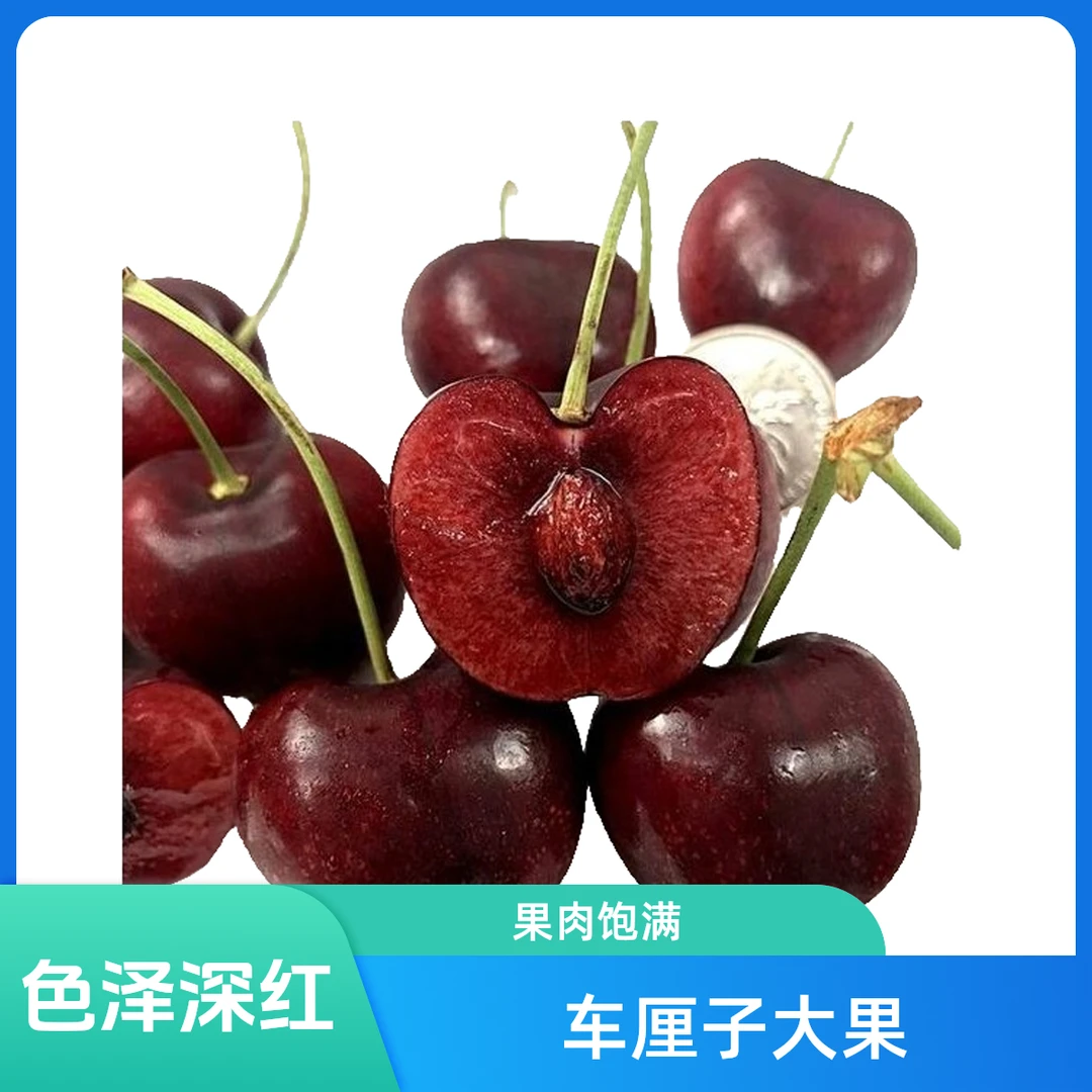 【盈盈】智利车厘子长春同城小时达【拉宾斯新鲜到家】智利海运3J/4J脆甜多汁5斤拉宾斯智利