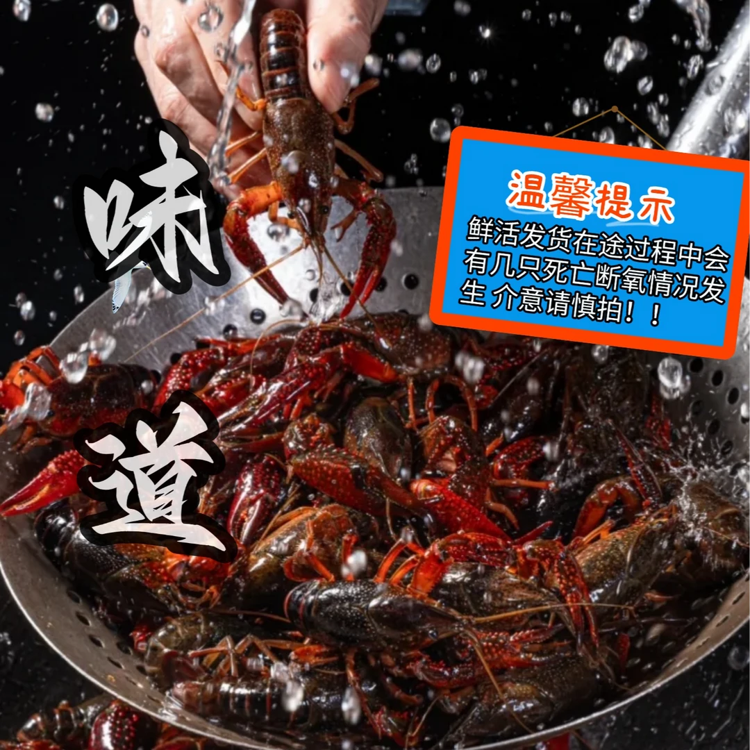 【小龙虾】鲜活发出路途当中有部分死的（处理虾线会部分肉质散，不接受勿下单）kg