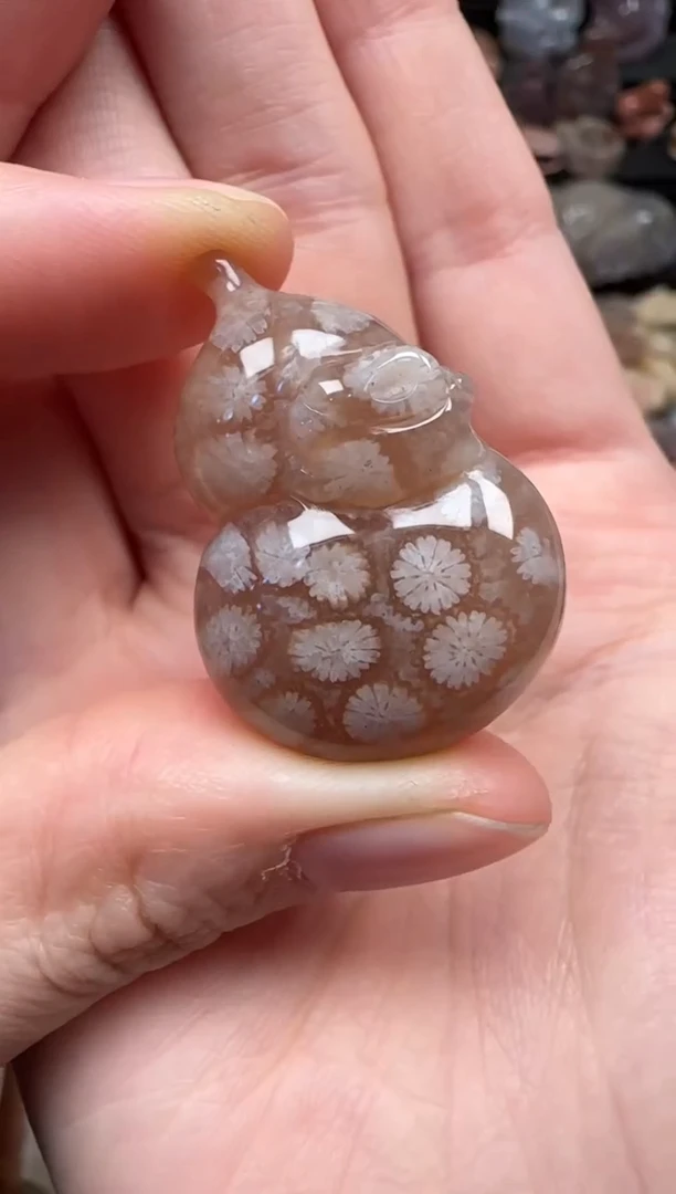 颈饰未镶嵌硅化珊瑚（珊瑚玉）176