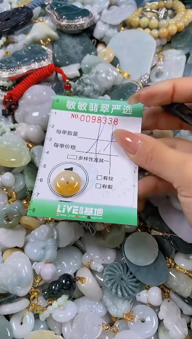 【闪购商品】翡翠颈饰未镶嵌闪购0098338