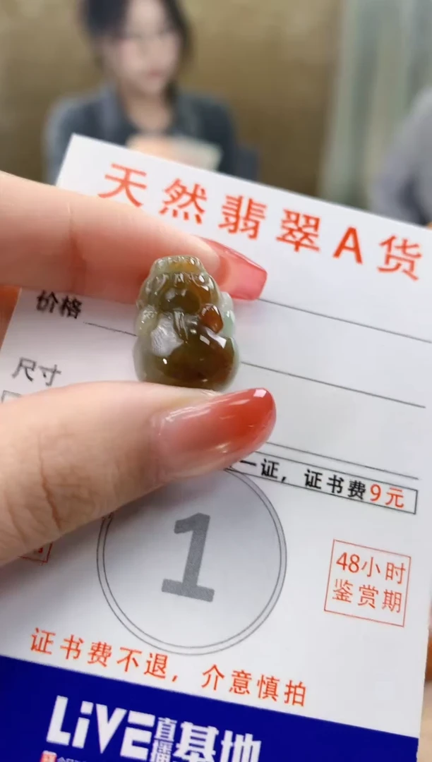 颈饰未镶嵌翡翠天然A货翡翠挂件