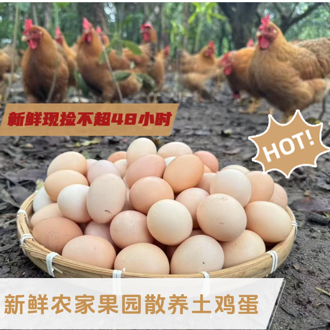 农家土特产农家果园土鸡蛋新鲜现捡不超48小时新鲜发货省内次日达