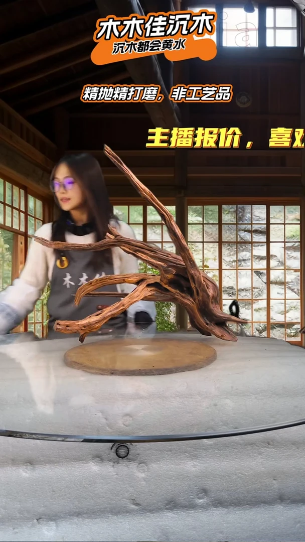 ?****?木木佳鱼缸造景沉木-014