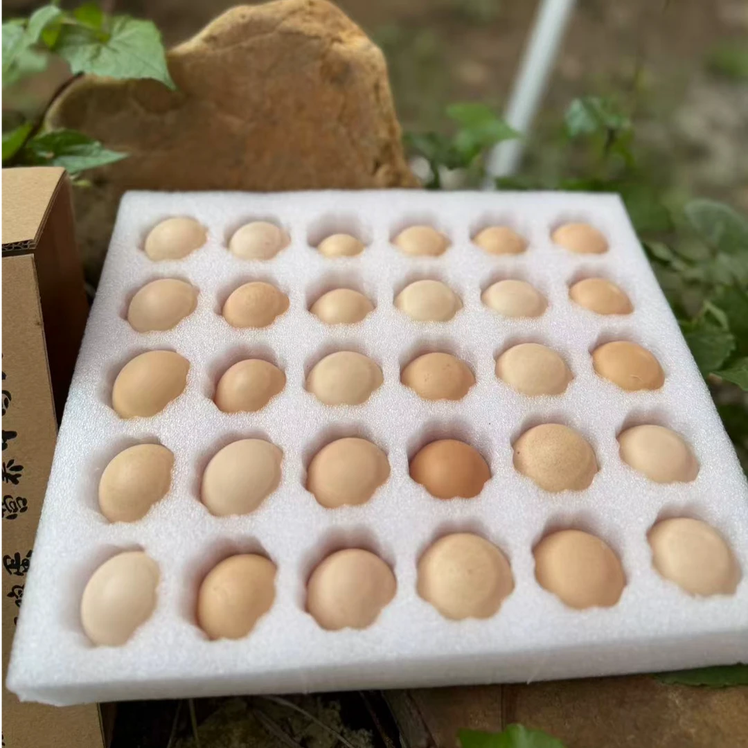 （40只）新鲜土鸡蛋  初生蛋