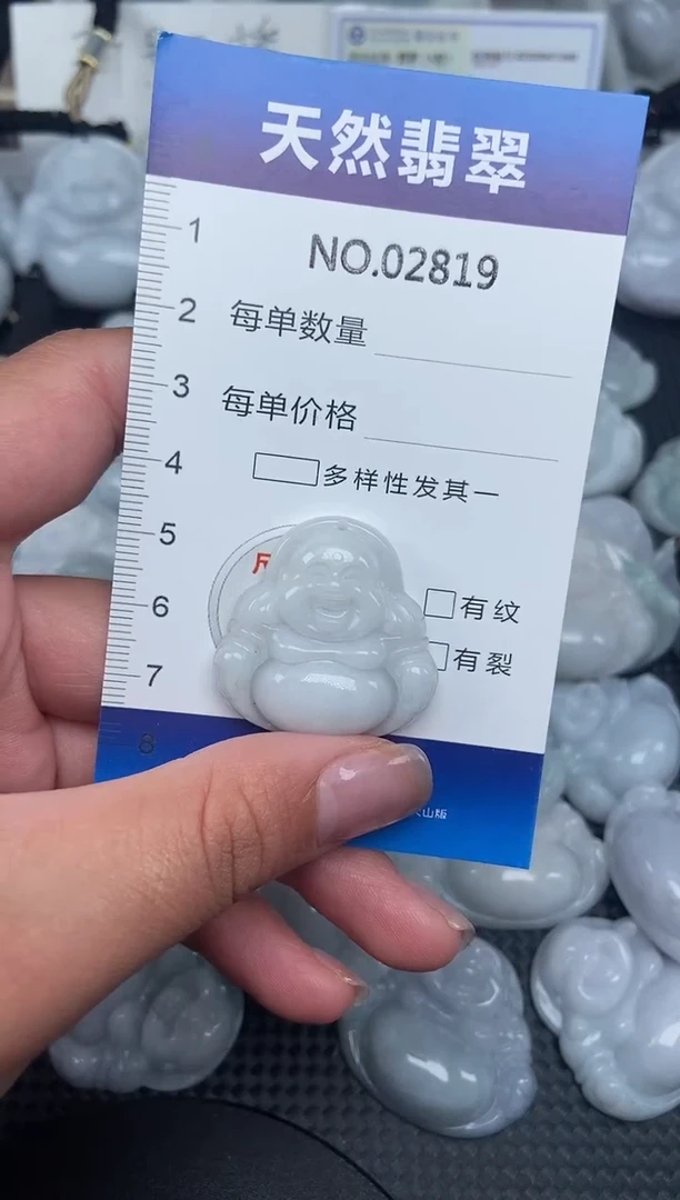 颈饰未镶嵌翡翠纯天然A货翡翠2819