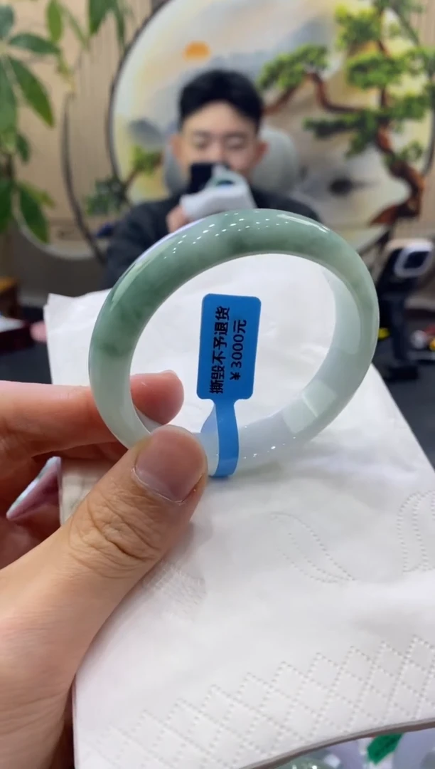 未镶嵌手镯翡翠9373