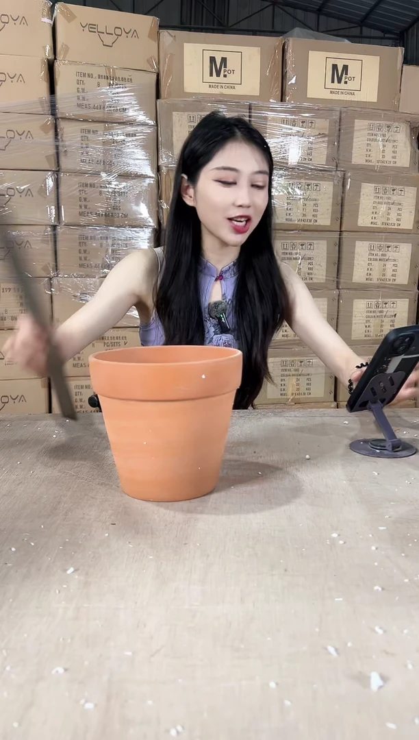 红陶红陶1号18x16