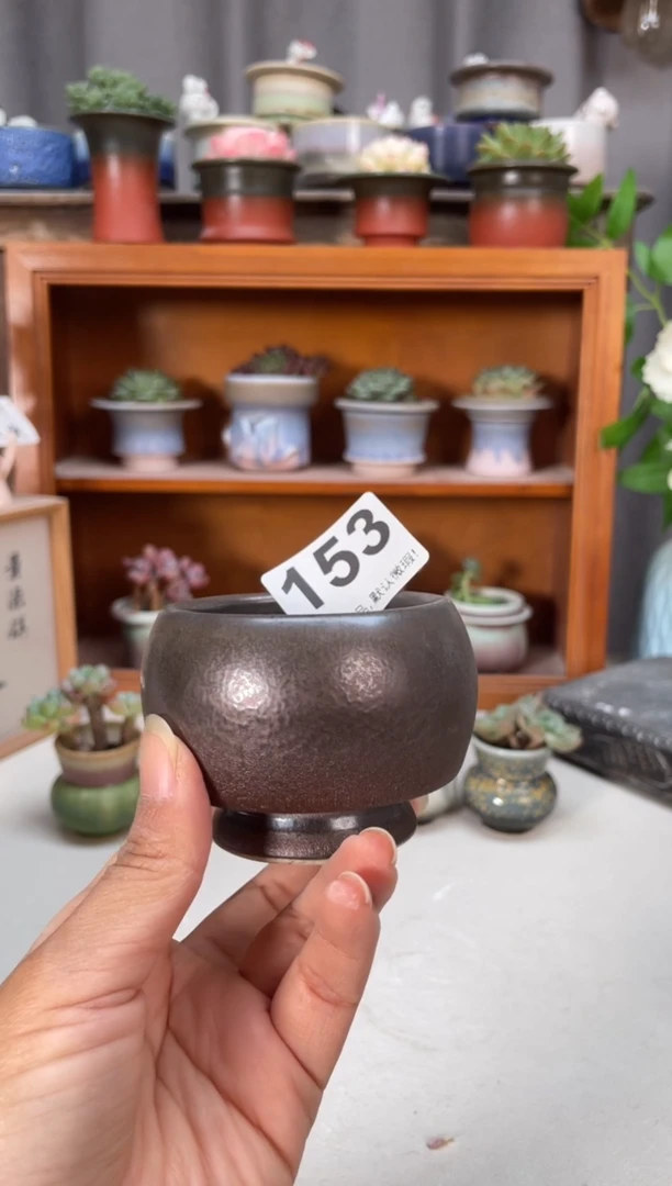 瓷片153知木小芳花盆