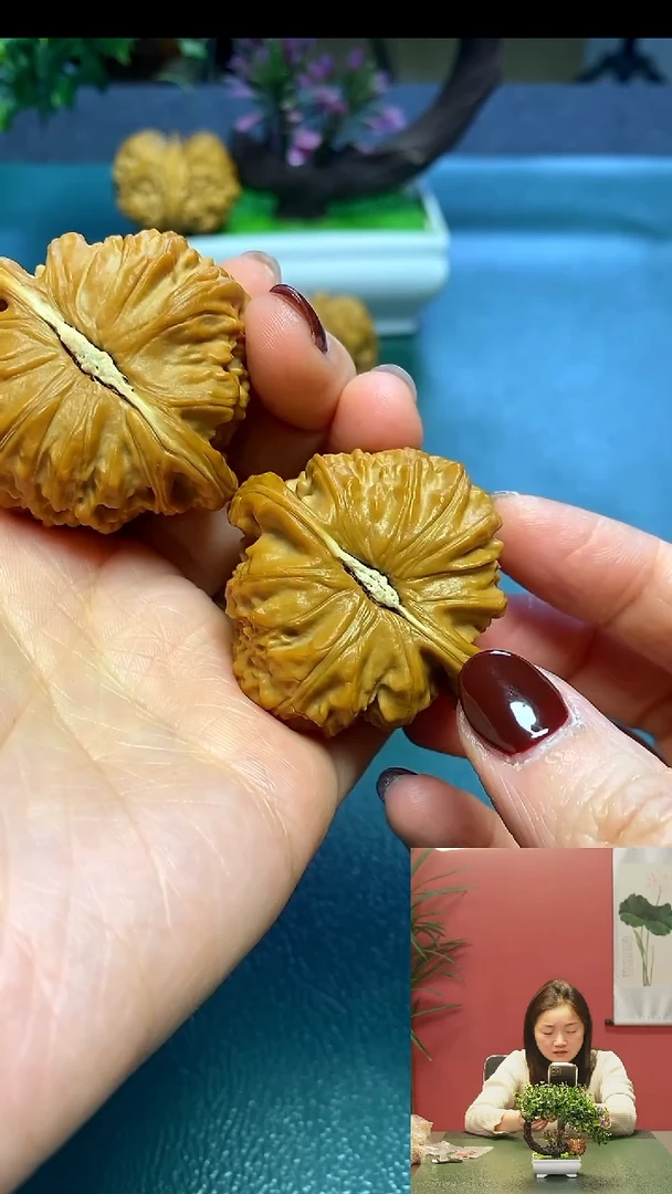 【闪购商品】文玩核桃把件43全品白狮子