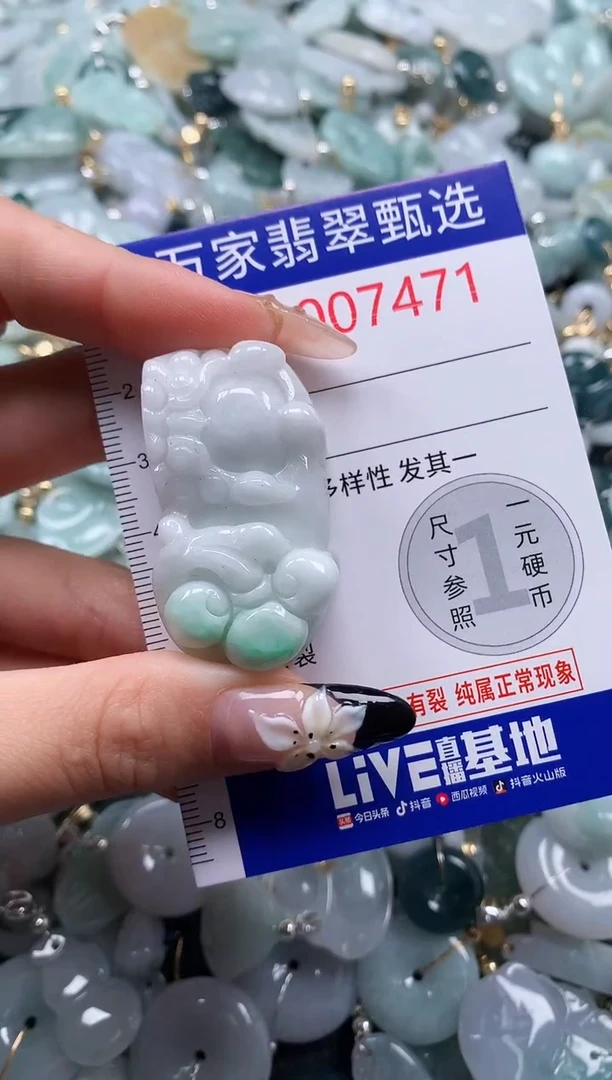 翡翠未镶嵌颈饰7471