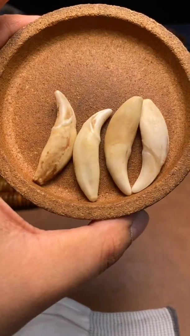 其他牛骨杂件1066-牙牙吊坠