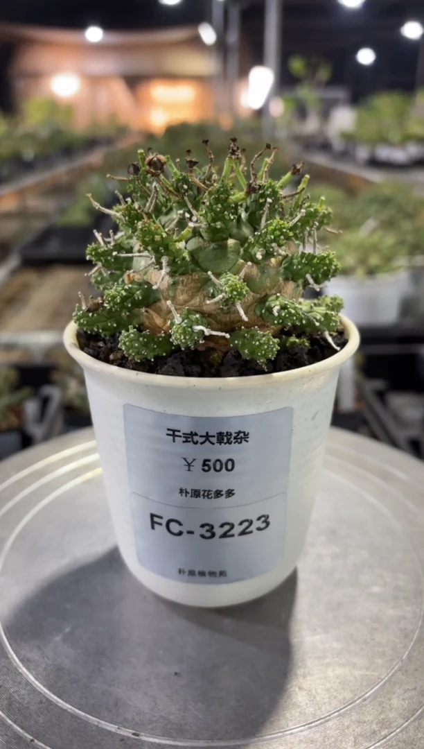 干式大戟杂FC-3223