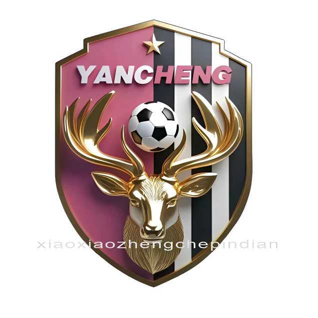 苏超联赛队盐城队徽贴纸江苏城市南通盐城足球队淮安队标汽车车贴