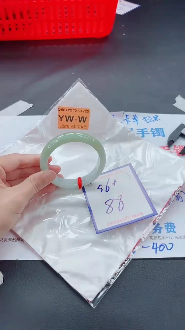 未镶嵌手镯翡翠11111111