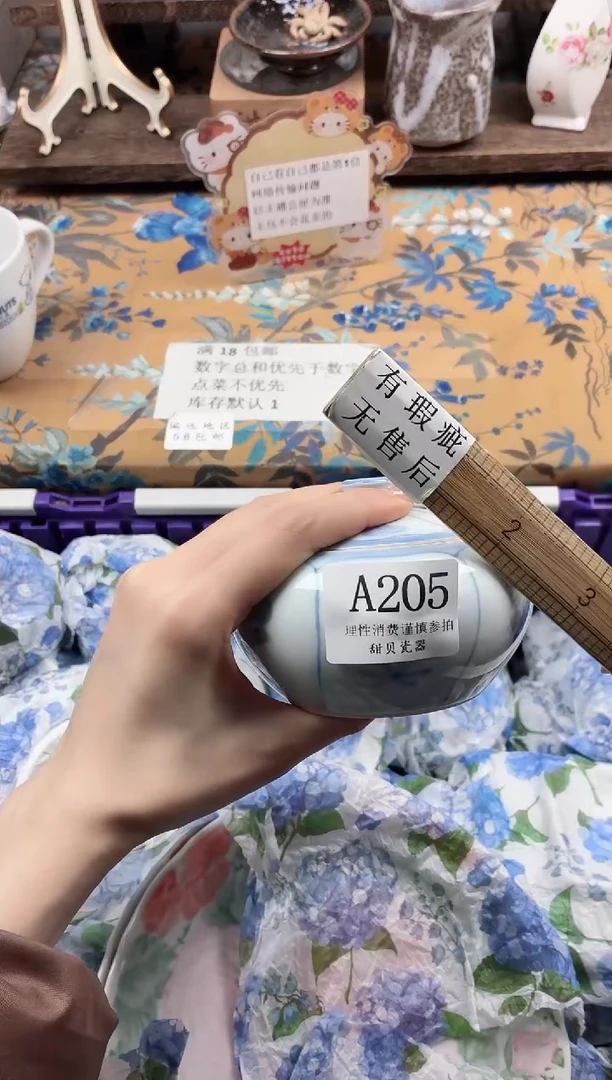 瓷片山***临                A205