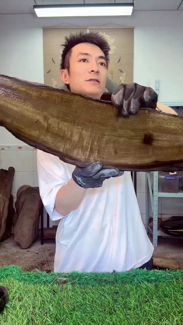 金丝楠小叶祯楠586