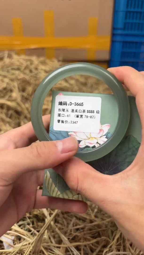 未镶嵌手镯石英质玉D-3665