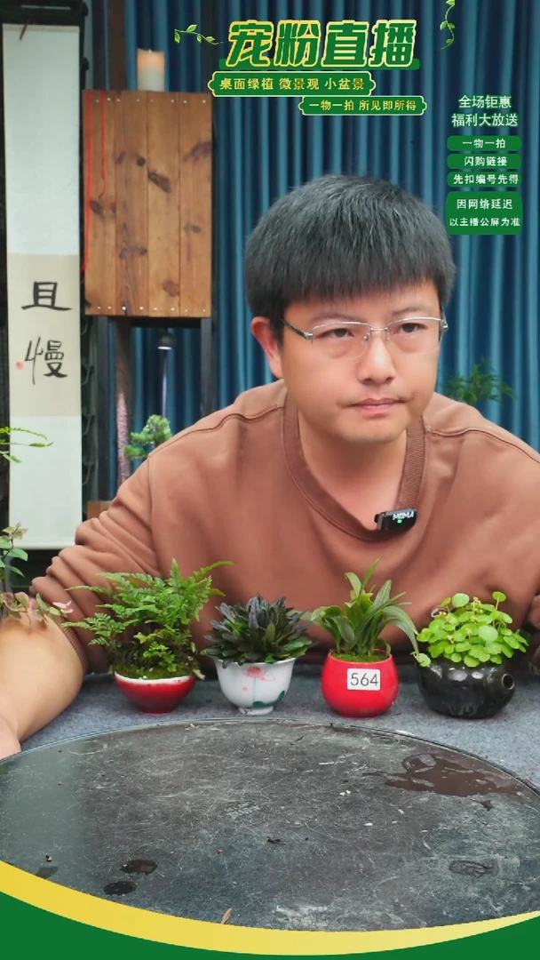 无花朵阜*苔藓微景观564号