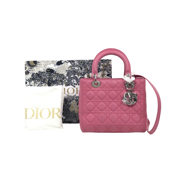 95新/迪奥/包包/市场价40000/250119XL0035