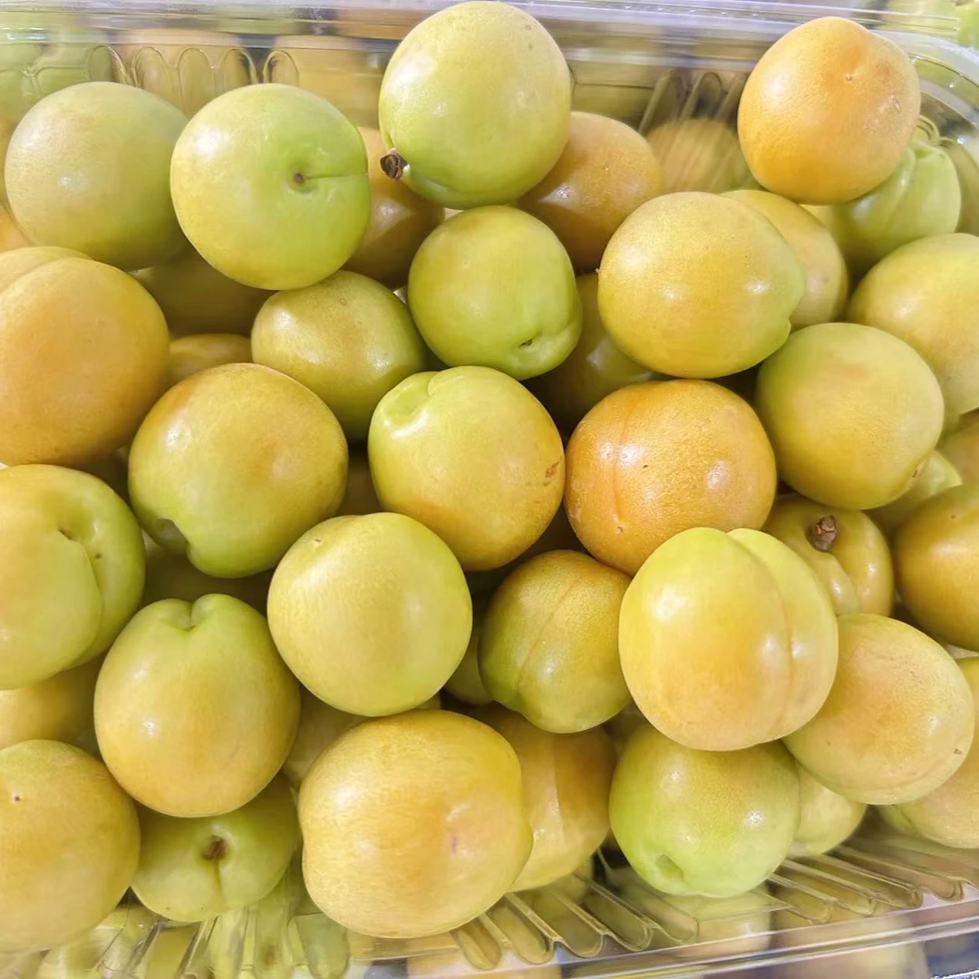 【散装】好吃的油杏2斤左右