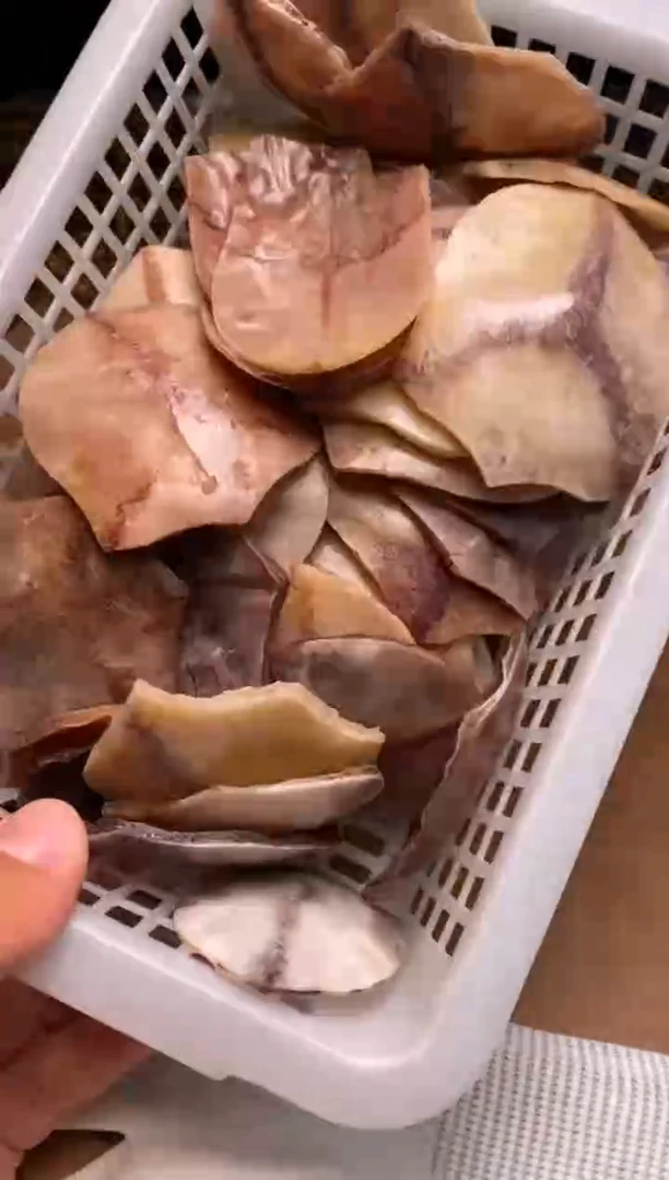 其他鹿骨母鹿三界瑕疵随机1个