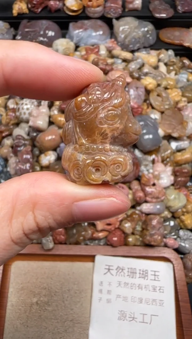 硅化珊瑚（珊瑚玉）未镶嵌颈饰282