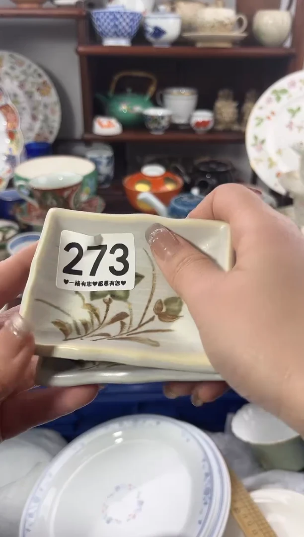 【闪购商品】瓷片273............