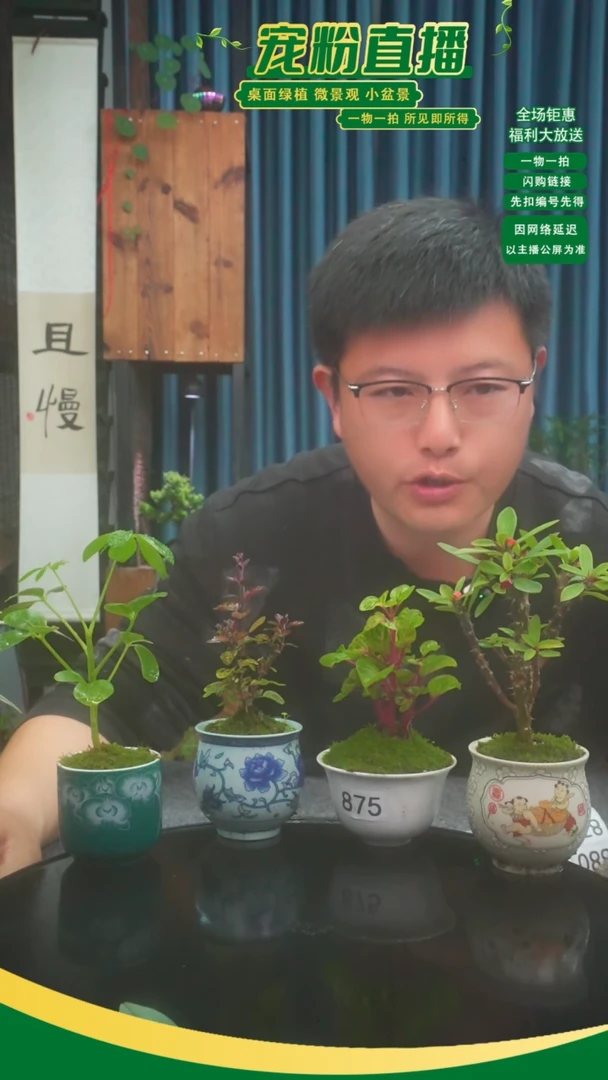 无花朵可***命苔藓微景观875号