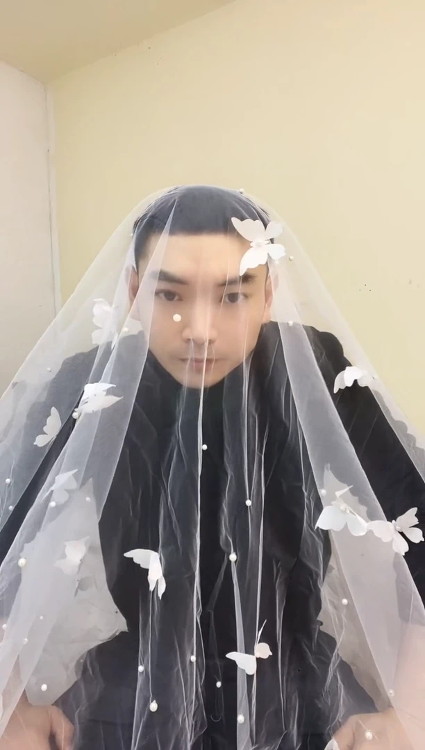 半透60CM以下瑕疵品  不退换（完美主义者误拍）蝴蝶仙子300