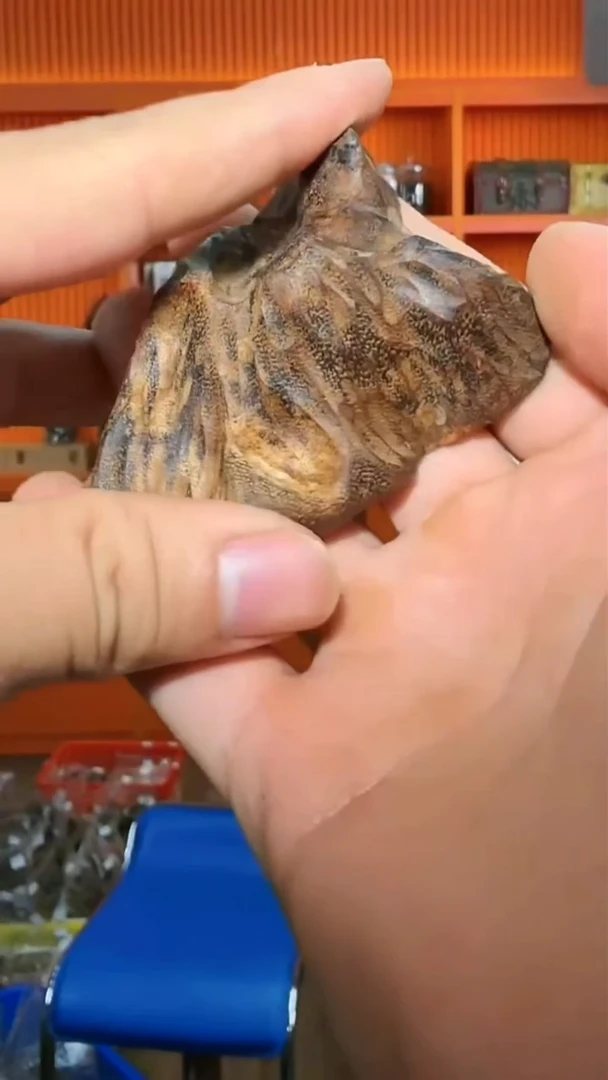 沉香吊坠195号多样性发一